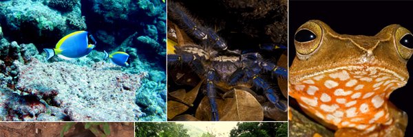 CES_IISc Profile Banner