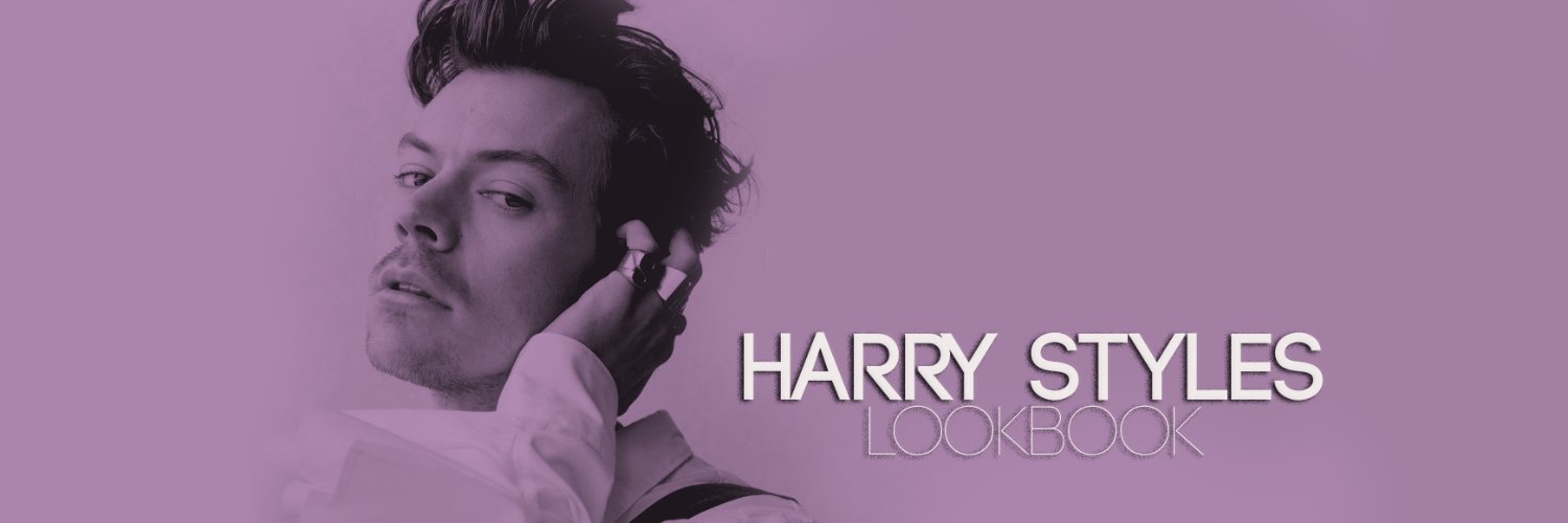 Harry Styles Lookbook banner