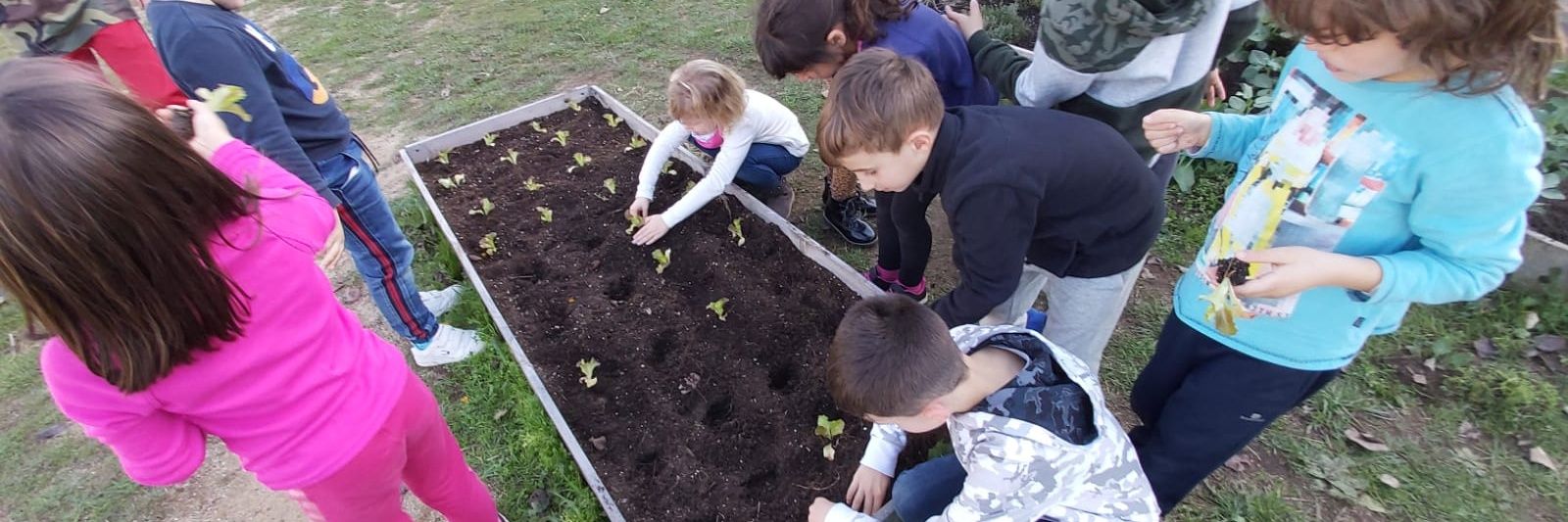 Escola El Roure (@EscolaElRoure) / Posts / X