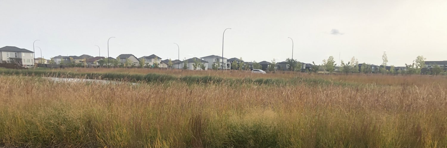 Ms. Jaime Lynn Sopka banner