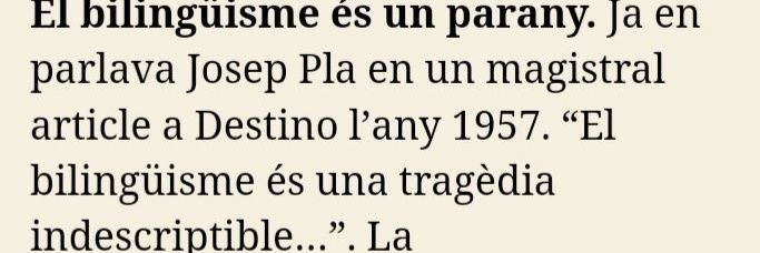 Sílvia Muñoz banner