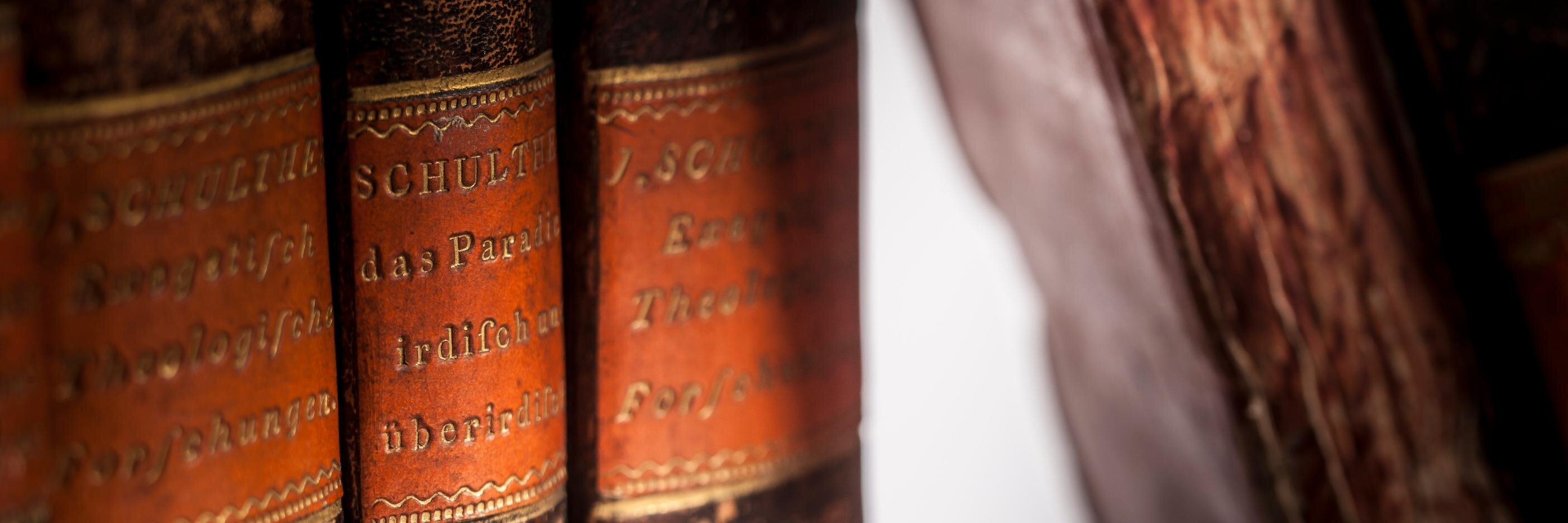 Schulthess JM banner