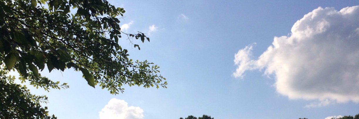 Ashari Gordon banner