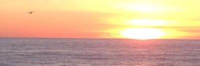 MBentolila33's profile banner image