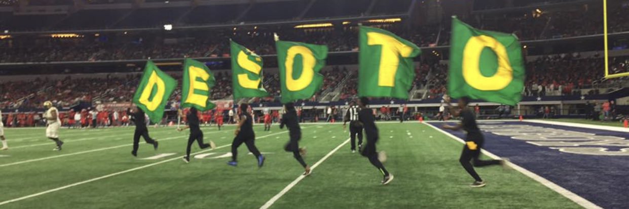 DesotoStuCo banner