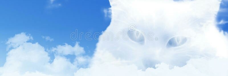 osemigonzalez's profile banner image