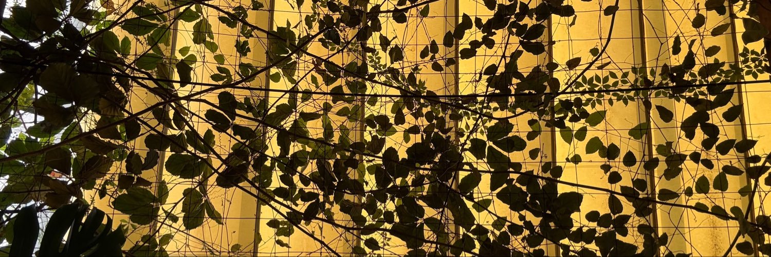 _lizasff's profile banner image