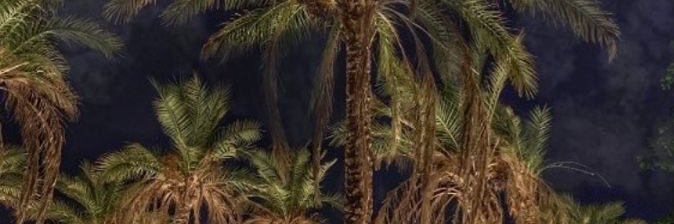 walabbg's profile banner image