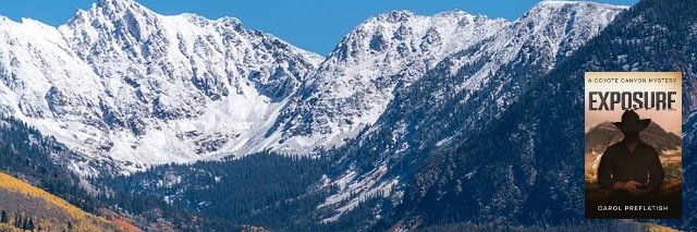 Author, Carol Preflatish banner