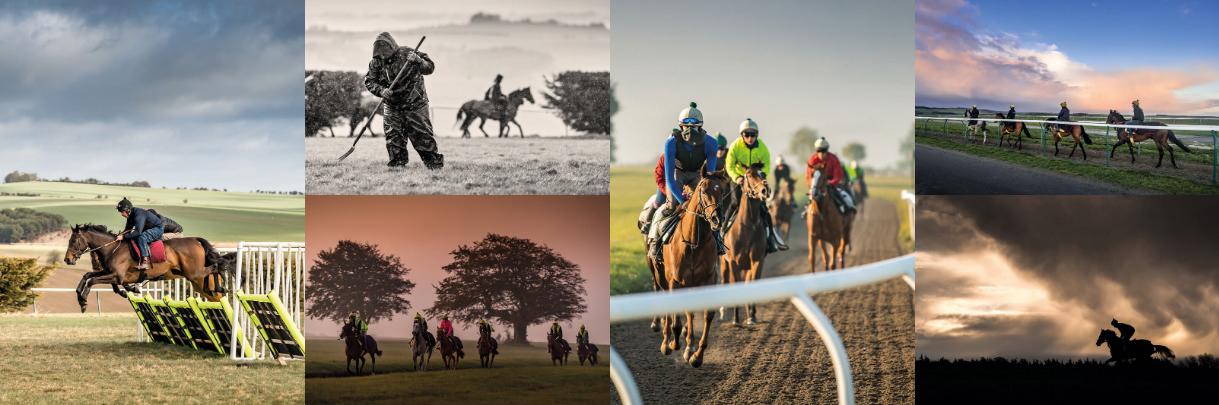 Lambourn Gallops banner