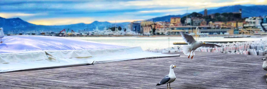 MonCannesAMoi's profile banner image