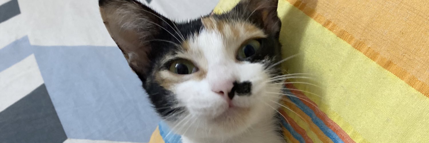 Shivangimile's profile banner image