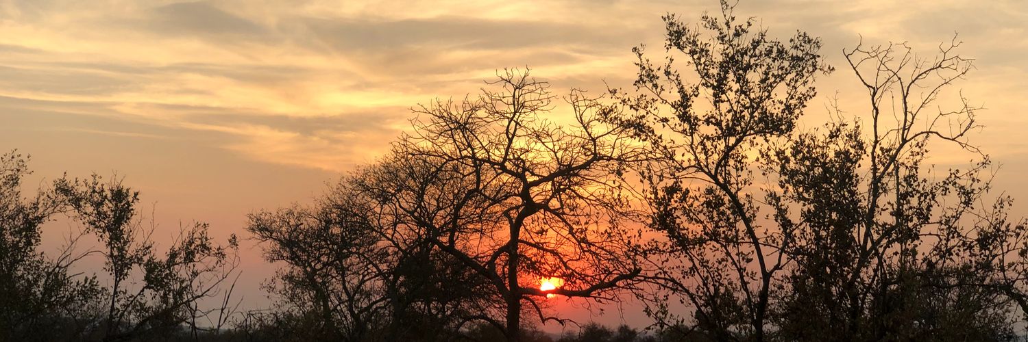 WynandMB's profile banner image