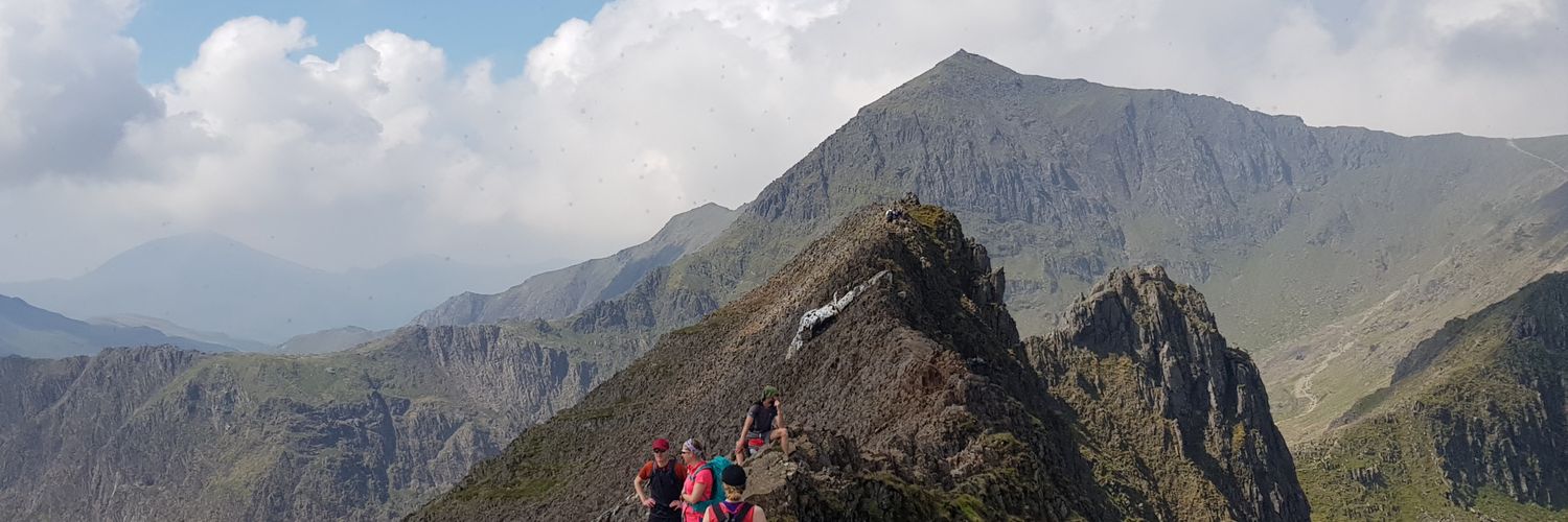 Professor Neil Greenberg banner