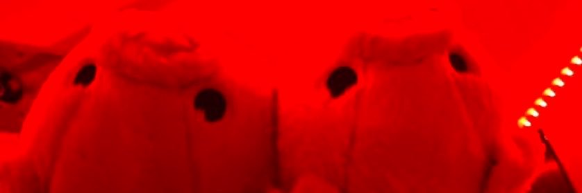 always_wet2's profile banner image