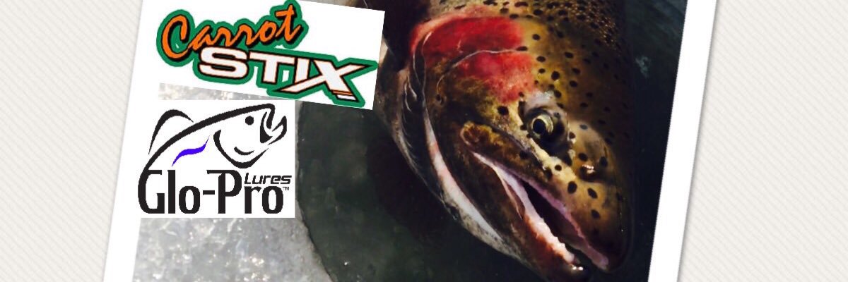 Nathan Paradis banner