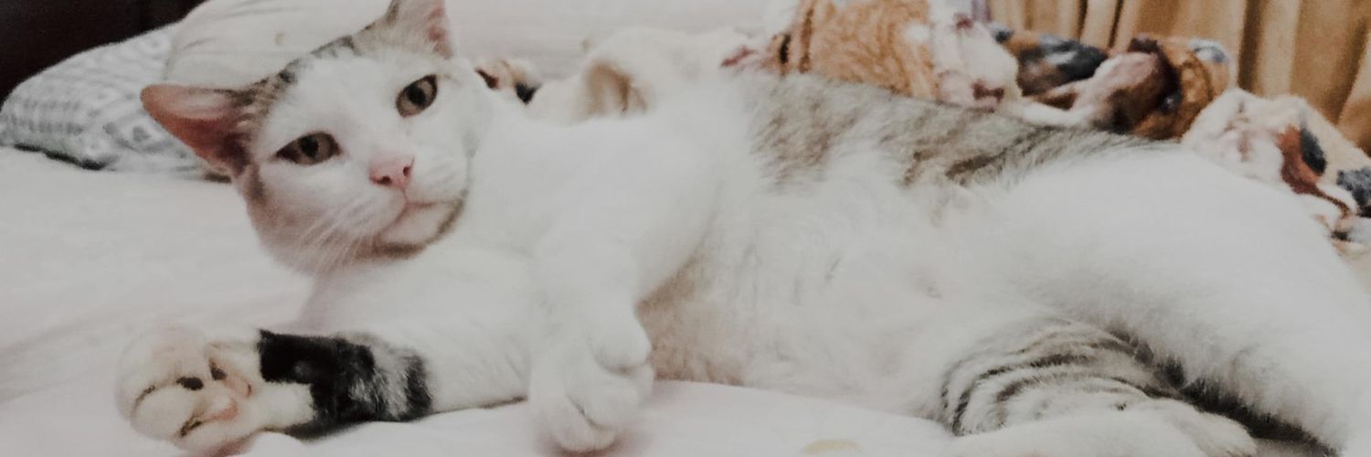 RizkaWR's profile banner image