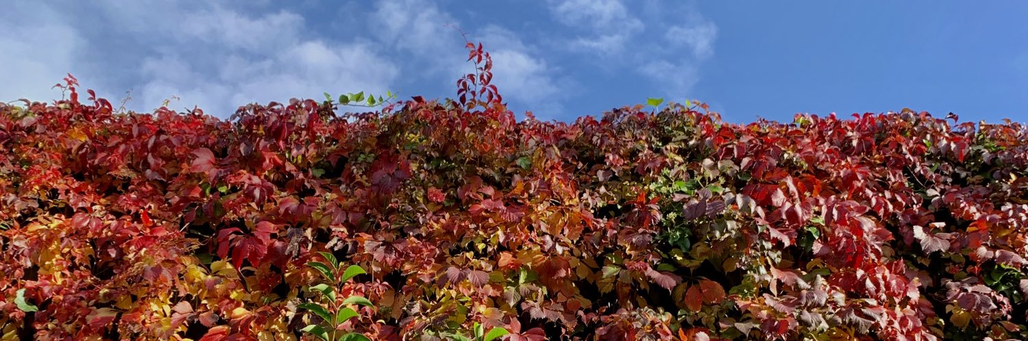 gfritzsch's profile banner image
