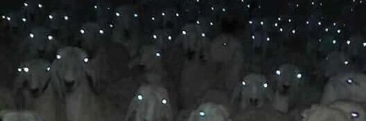 RandomNoticer banner