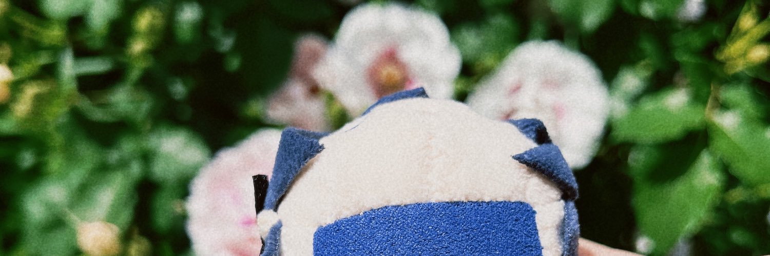 かもめ🕊️'s banner