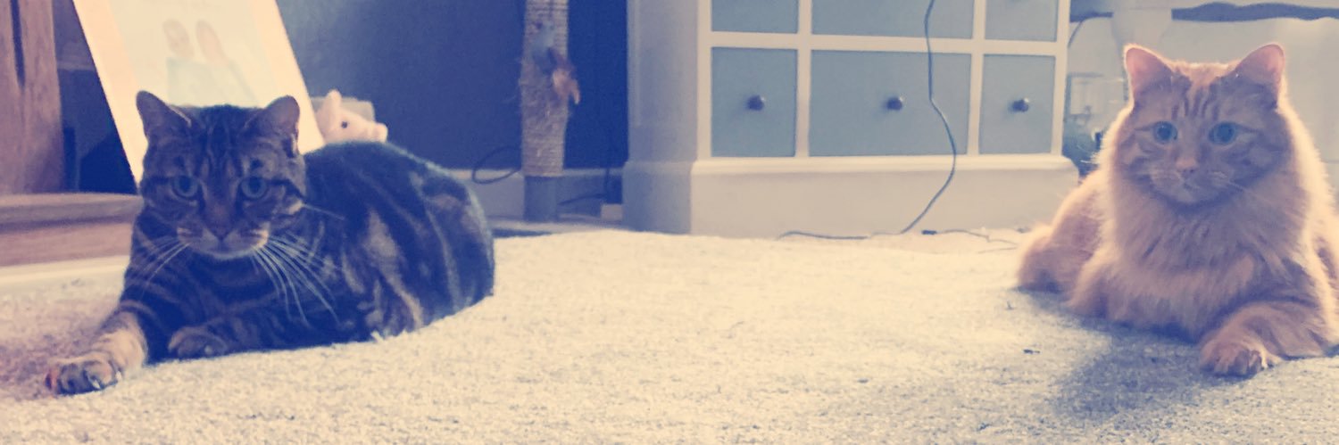 LiamJHurley's profile banner image