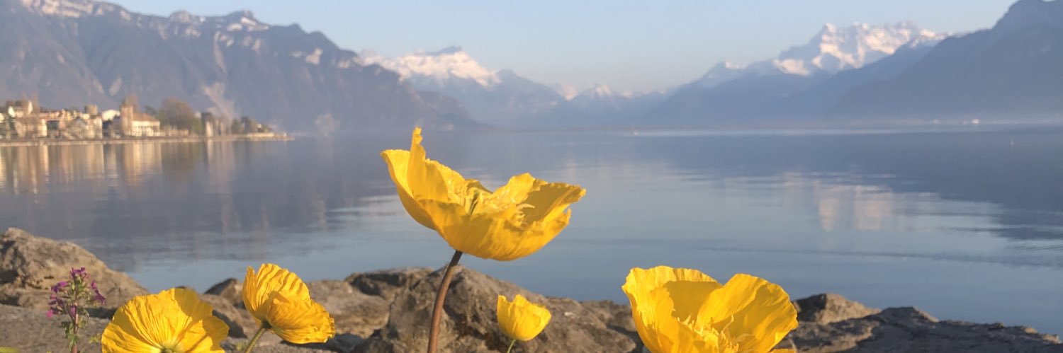 bemblog's profile banner image