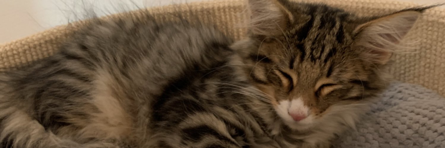 Samir Mustafa Negash banner