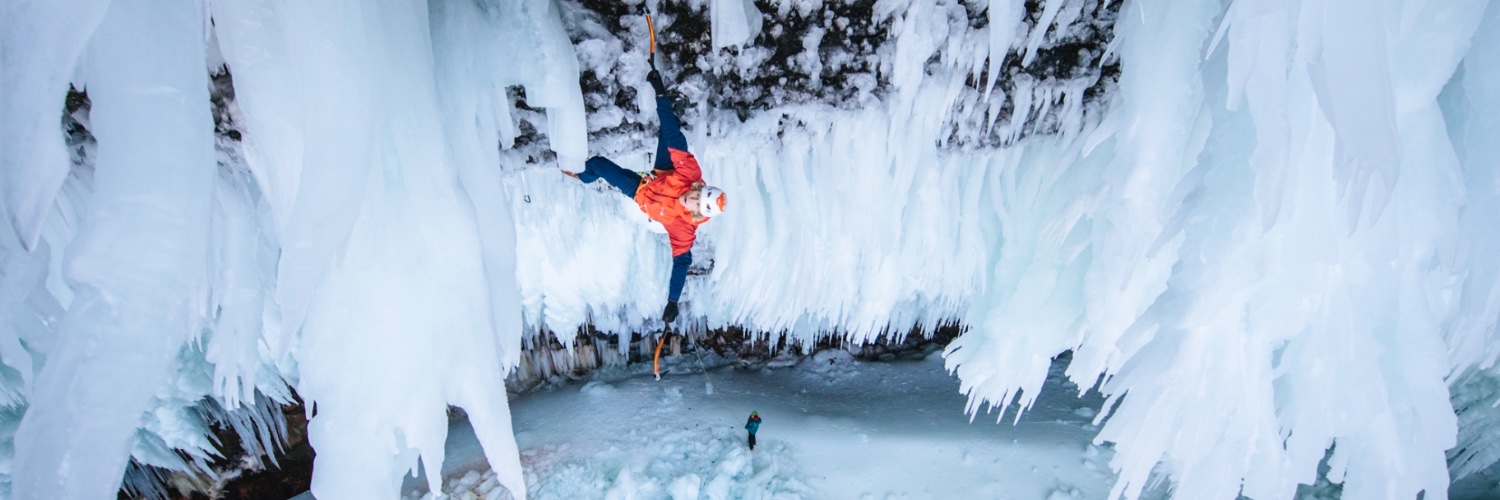 тιм eммeтт banner