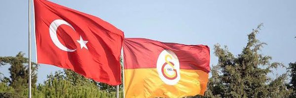 STG Profile Banner