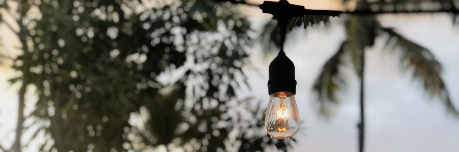 Mariela Duarte banner