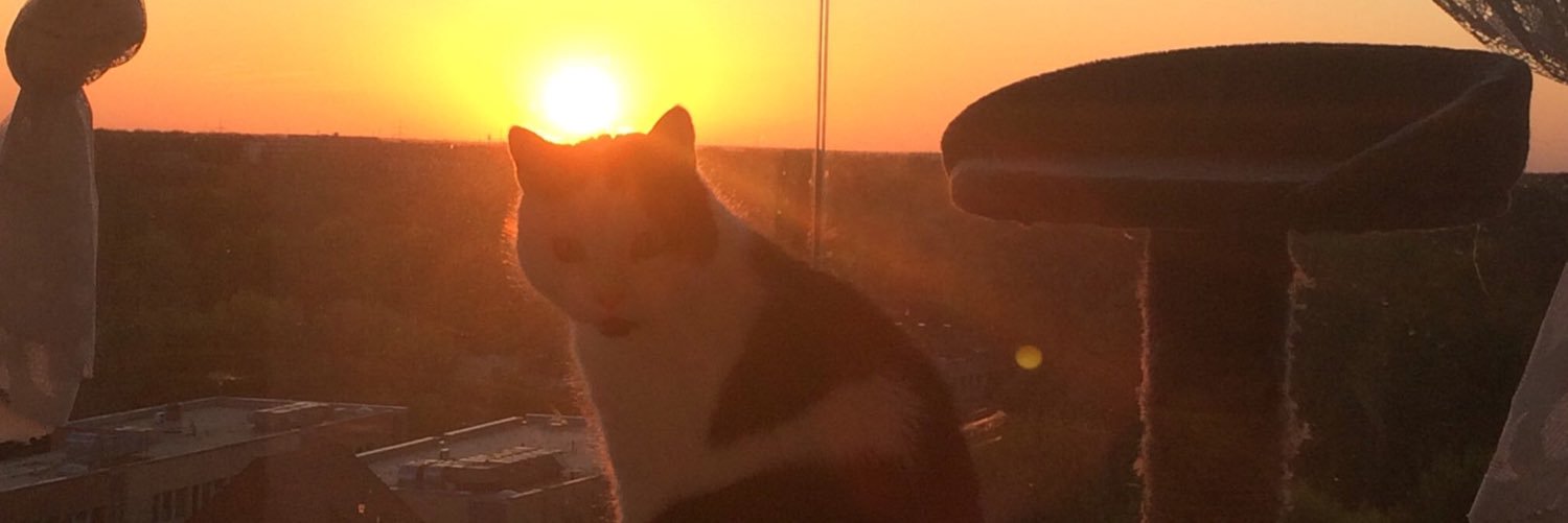 NewsEule's profile banner image