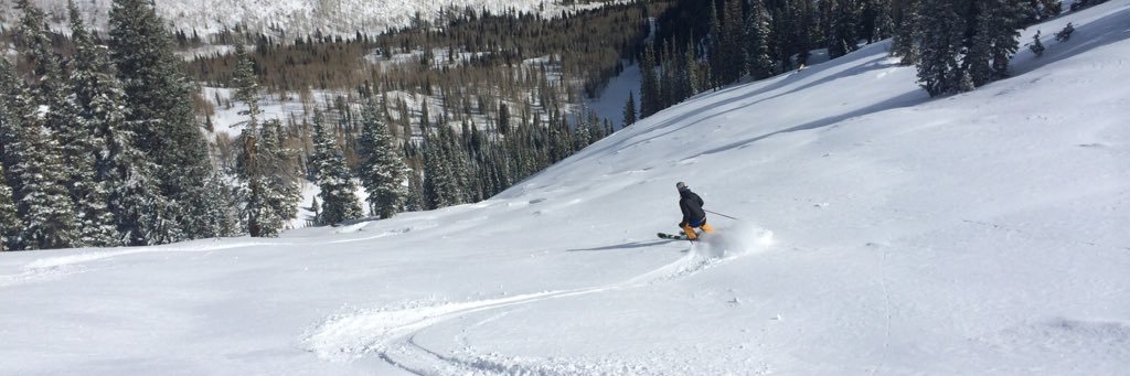 Kevin Ehleringer banner