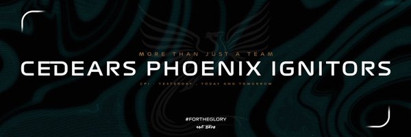 CPI_Esports Profile Banner