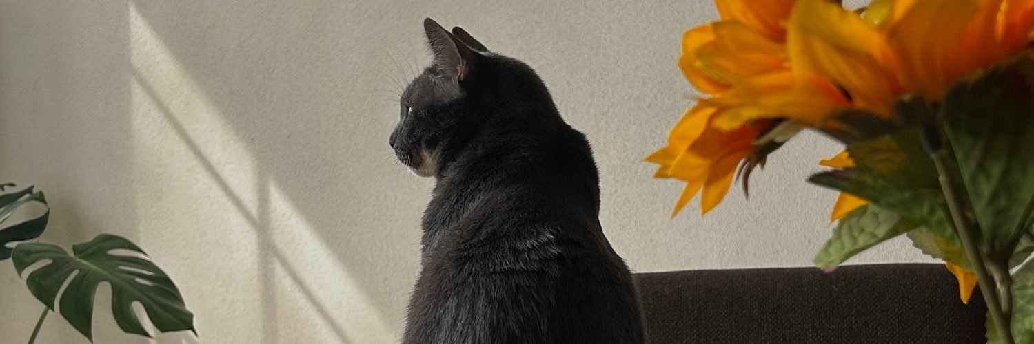 nnatcortes's profile banner image