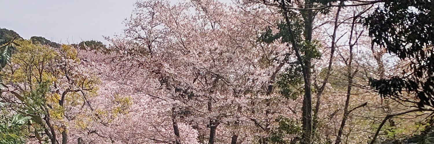 hyouryuuzzz's profile banner image