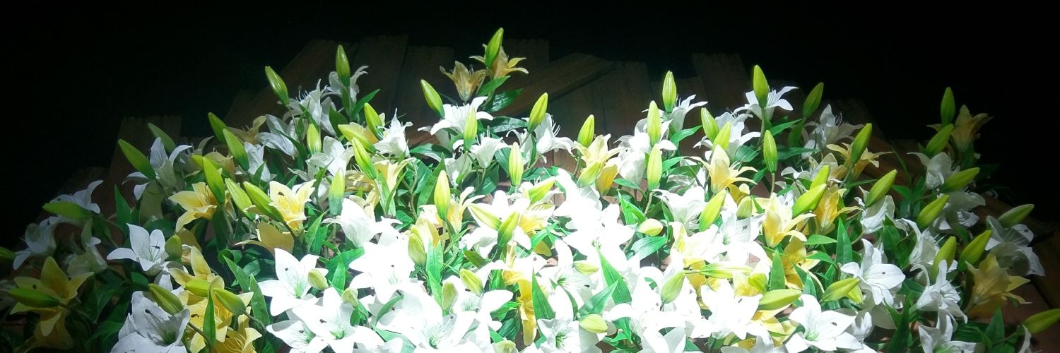 sarasa_'s profile banner image