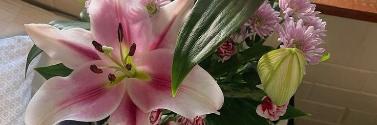 tita ୭‌‧₊˚ banner