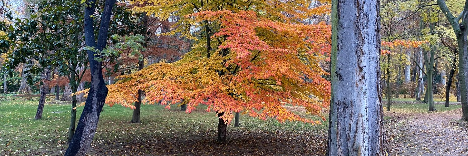 María Gómez banner