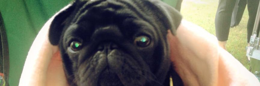 ldnpugmama's profile banner image