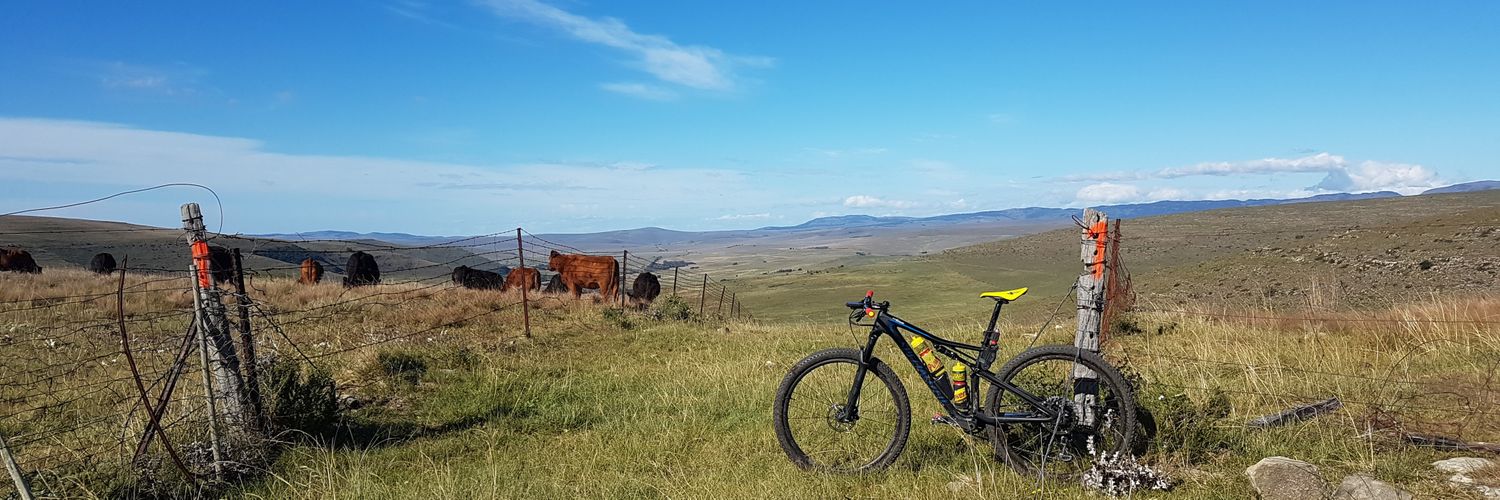 NealDCorbett's profile banner image