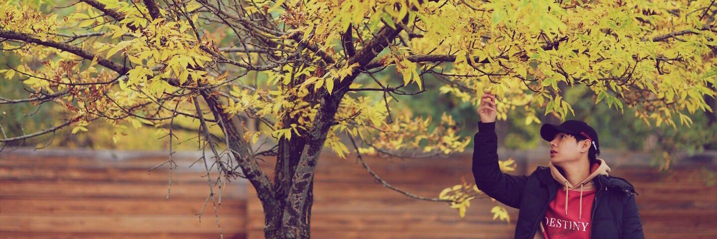 fungpalit's profile banner image