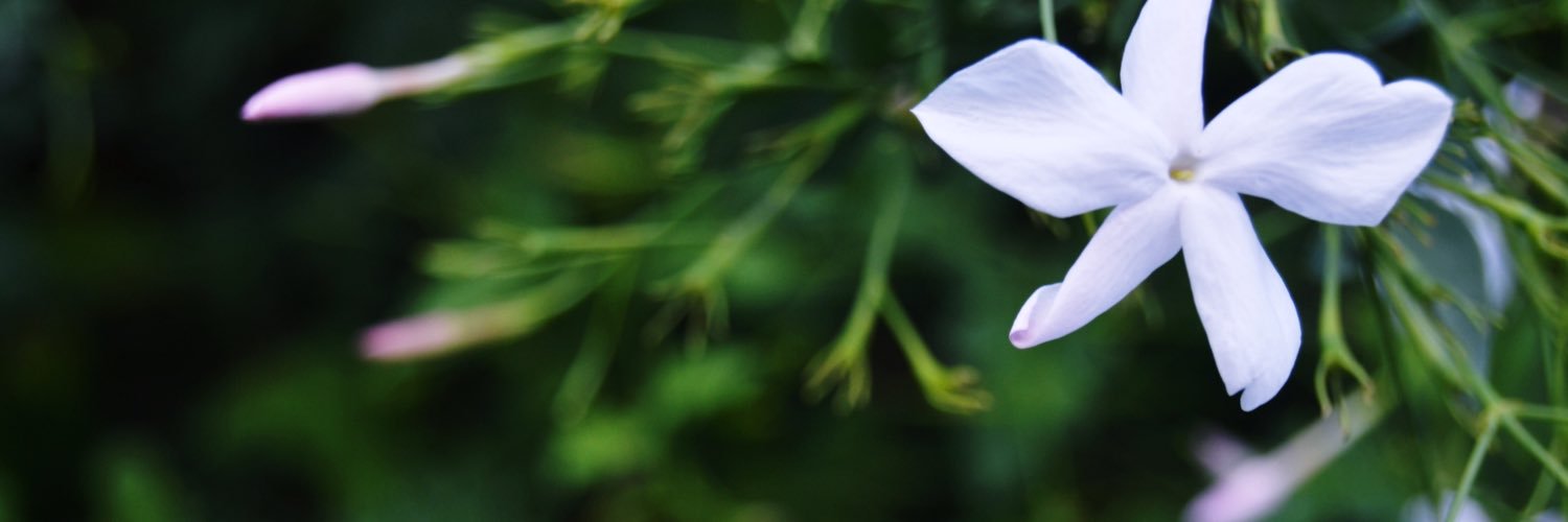 acidad's profile banner image