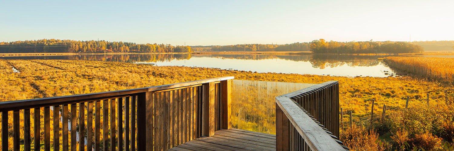 🇺🇦🇫🇮🇪🇺 Tuomas Stöckel ☕ banner