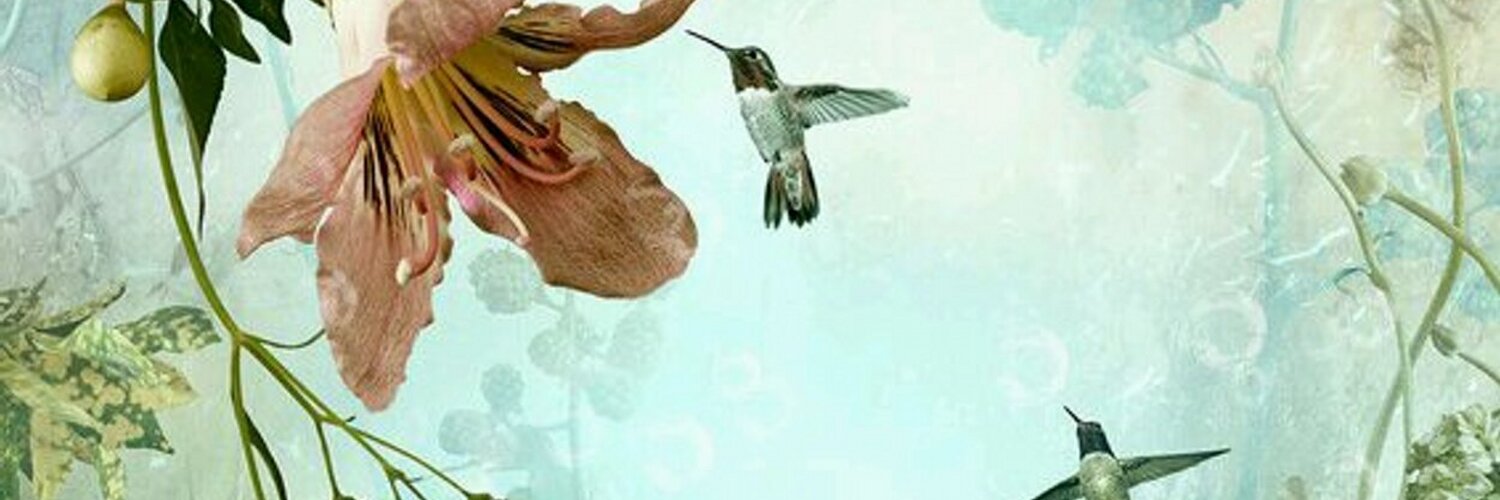 avanijade101's profile banner image