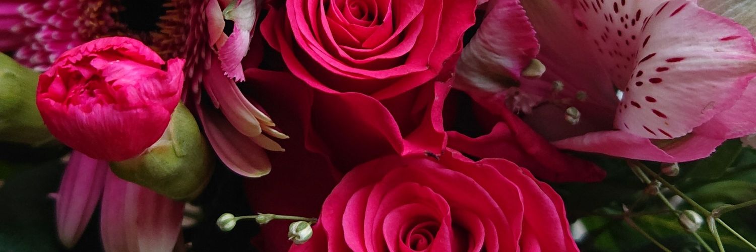 doll_rika1's profile banner image