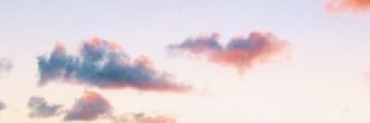 BitchRespectMe_'s profile banner image