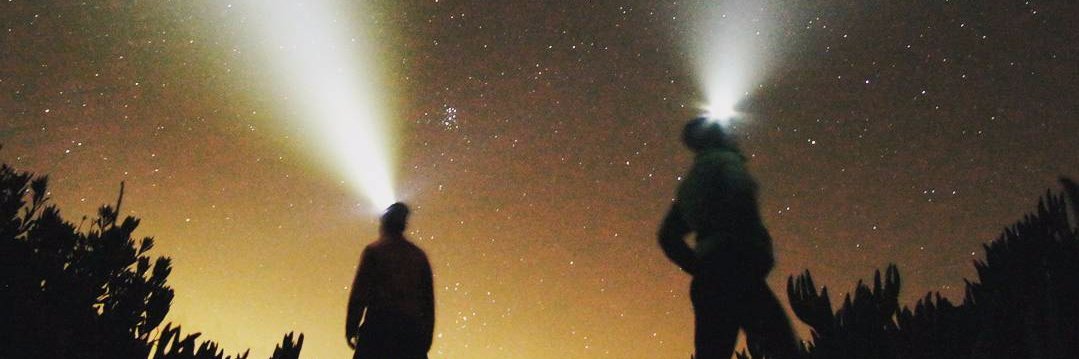 Michael Feldstein banner