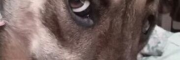 acathe's profile banner image