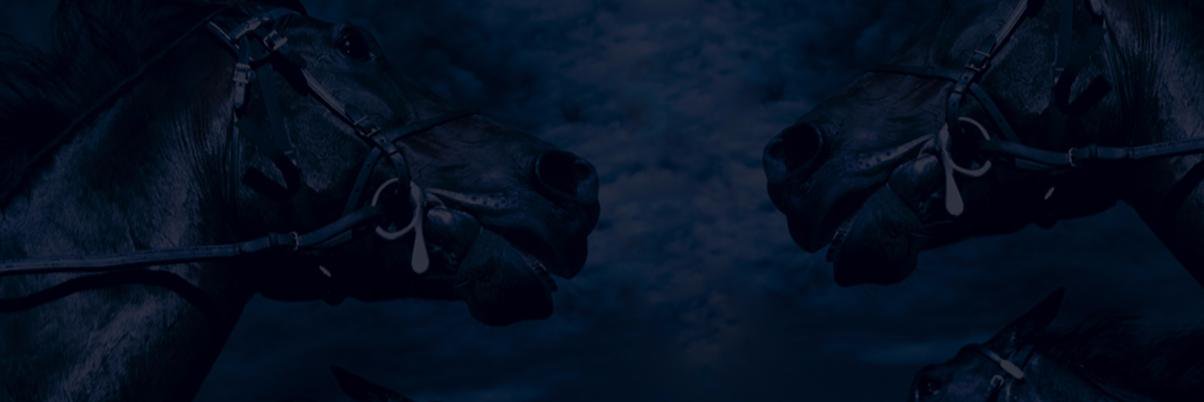 hingstense's profile banner image