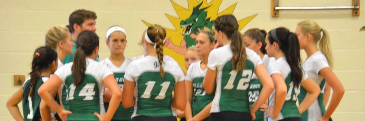 Brick Township High School Volleyball banner